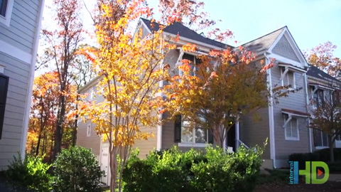 The Cottages, The Townes, and The Estates at King's Creek Plantation