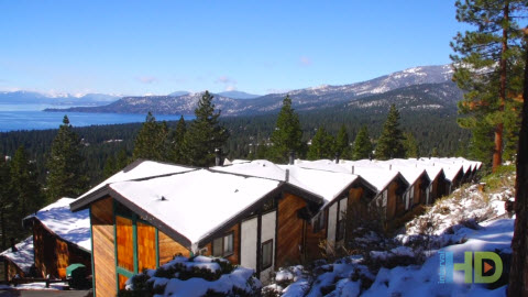 Tahoe Chaparral