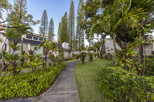Resort Img